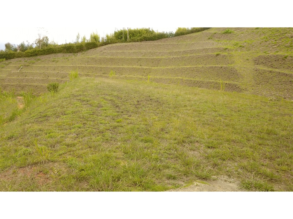 Lote de 2.663 m² en Parcelación Sector Aeropuerto Rionegro — foto 3