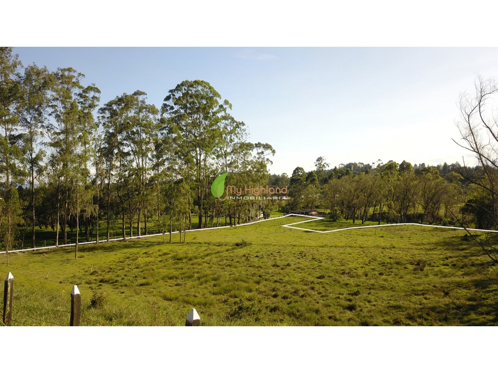 Lote de Uso Industrial 19.956 m² Autopista Medellin-Bogota (Guarne) — foto 4