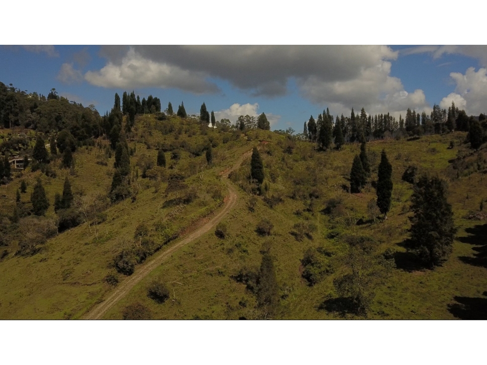 Lote de 72.614 m² Para Parcelar en Excelente Ubicación Guarne — foto 6