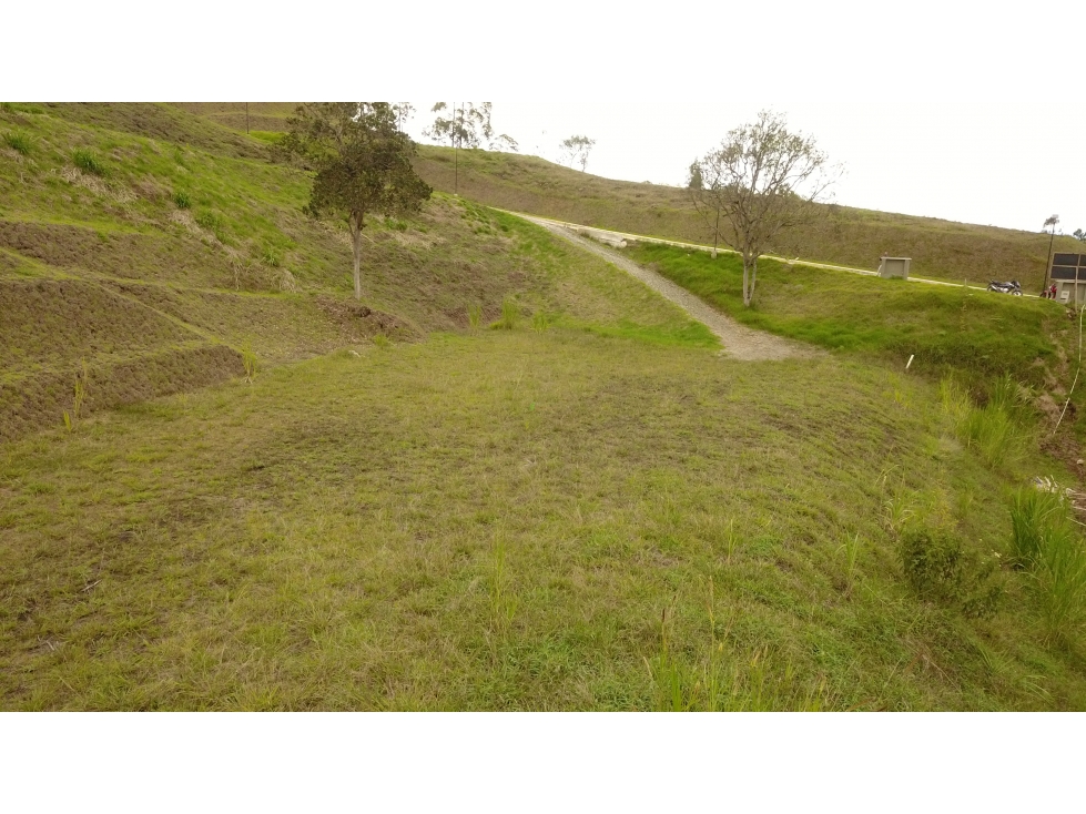 Lote de 2.663 m² en Parcelación Sector Aeropuerto Rionegro — foto 4
