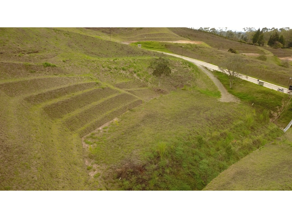 Lote de 2.663 m² en Parcelación Sector Aeropuerto Rionegro — foto 5