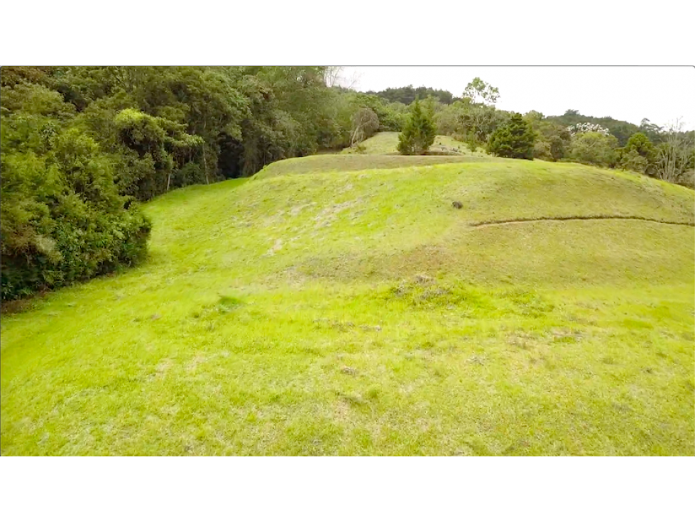 En Venta Lote De 10.000 m² Vereda La Honda Guarne - 6