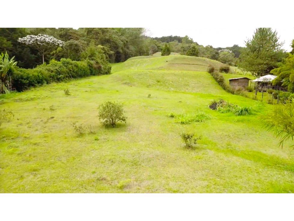 En Venta Lote De 10.000 m² Vereda La Honda Guarne - 2