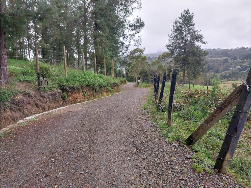 SE VENDE LOTE VEREDA SAN ISIDRO GUARNE — foto 2