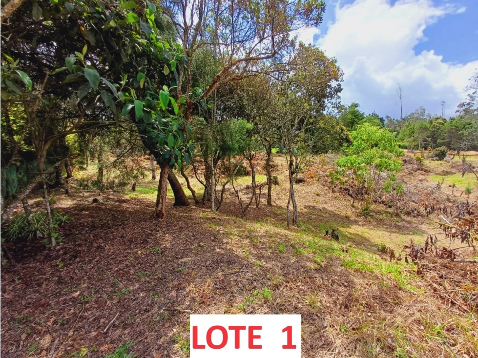 SE VENDEN LOTES EN VEREDA PIEDRAS BLANCAS GUARNE