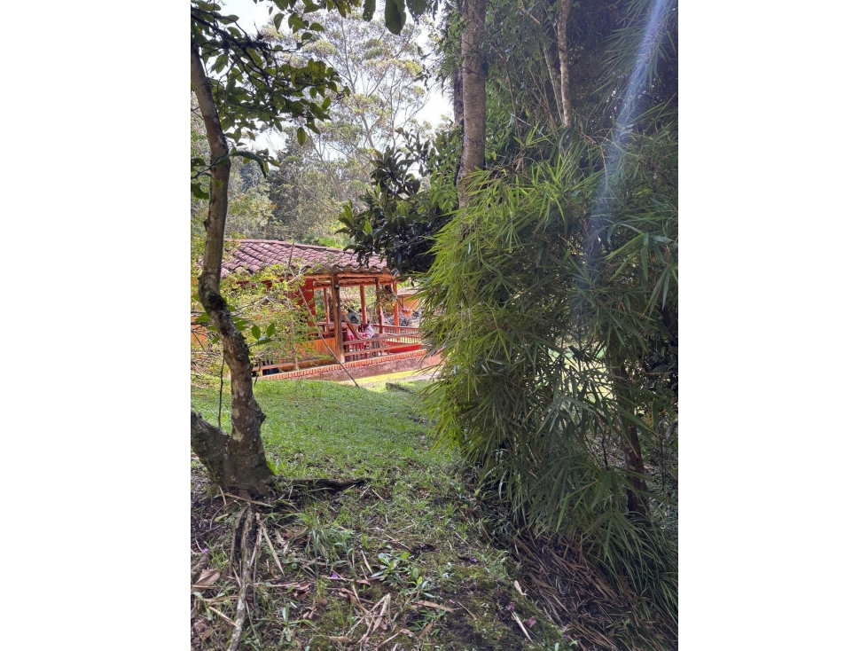 FINCA EN VENTA VEREDA LA CLARITA, GUARNE — foto 5