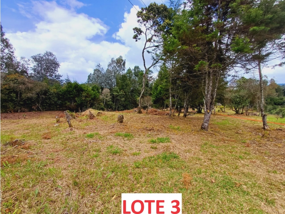 SE VENDEN LOTES EN VEREDA PIEDRAS BLANCAS GUARNE — foto 3