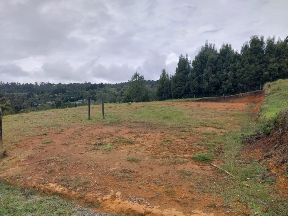SE VENDE LOTE VEREDA SAN ISIDRO GUARNE