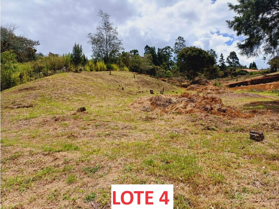 SE VENDEN LOTES EN VEREDA PIEDRAS BLANCAS GUARNE — foto 4