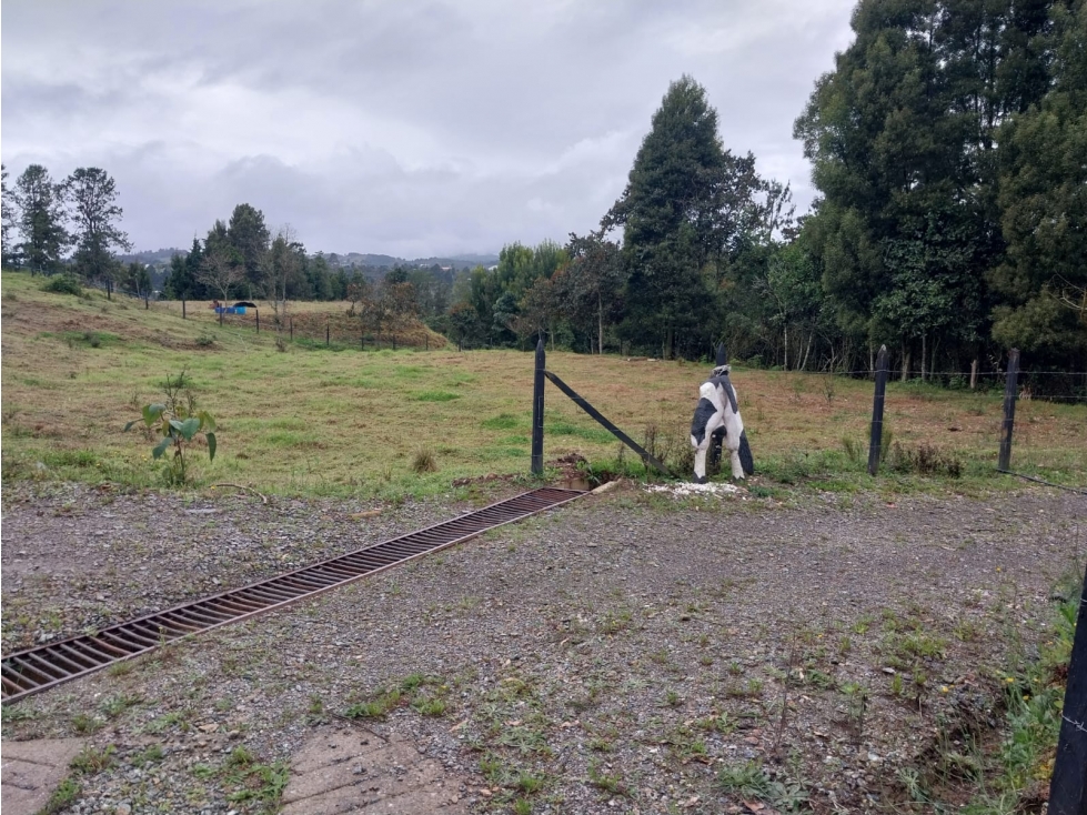 SE VENDE LOTE VEREDA SAN ISIDRO GUARNE — foto 6