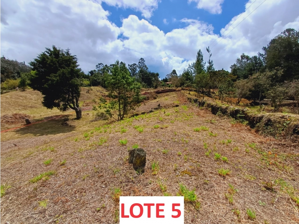 SE VENDEN LOTES EN VEREDA PIEDRAS BLANCAS GUARNE — foto 5