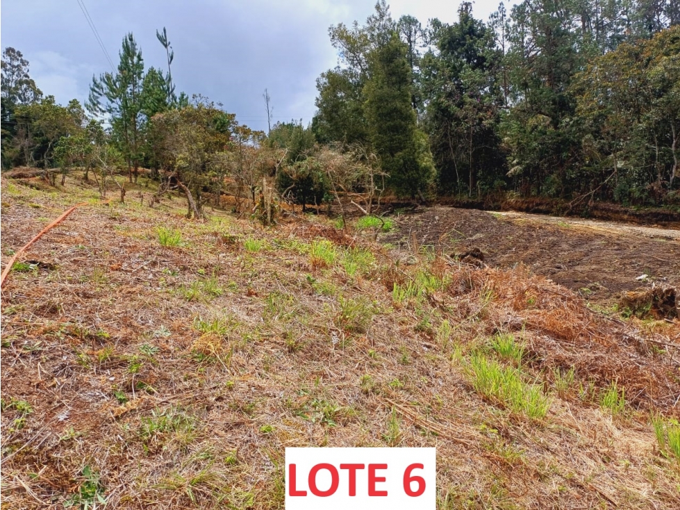 SE VENDEN LOTES EN VEREDA PIEDRAS BLANCAS GUARNE — foto 6