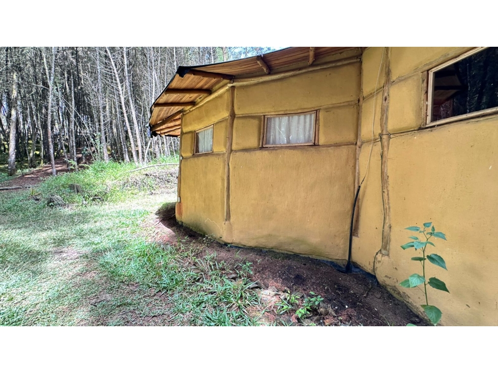 SE RENTA CABAÑA EN VEREDA LA MOSQUITA GUARNE - 4