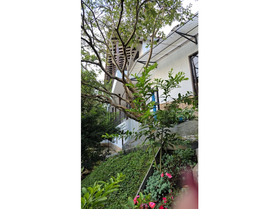 SE VENDE FINCA VEREDA EL COLORADO GUARNE — foto 4