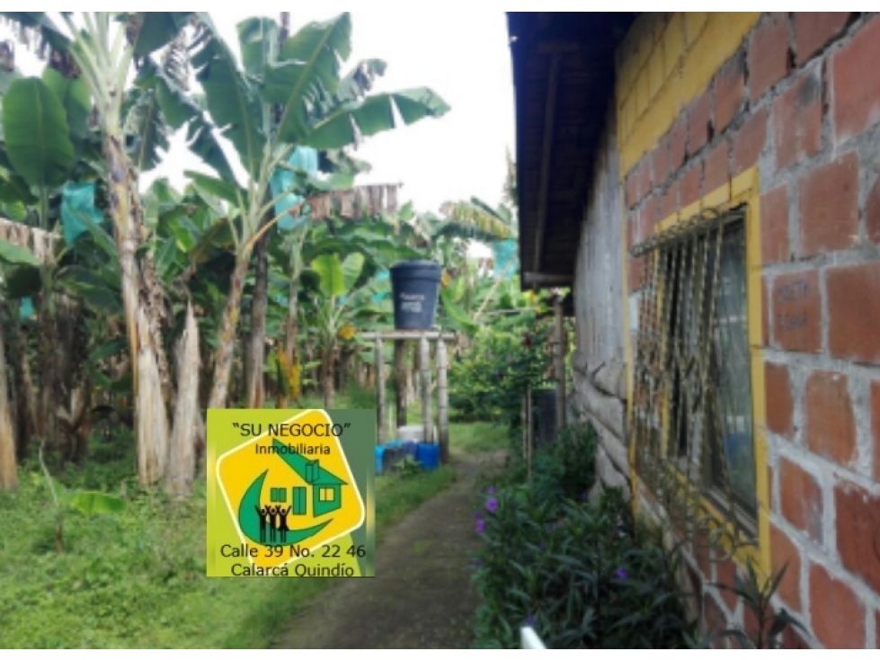 SE VENDE FINCA SECTOR DEL CAIMO (7)CUADRAS EN PLATANO — foto 2