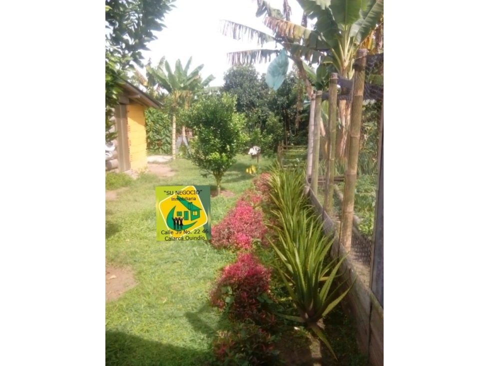 SE VENDE FINCA SECTOR DEL CAIMO (7)CUADRAS EN PLATANO — foto 6