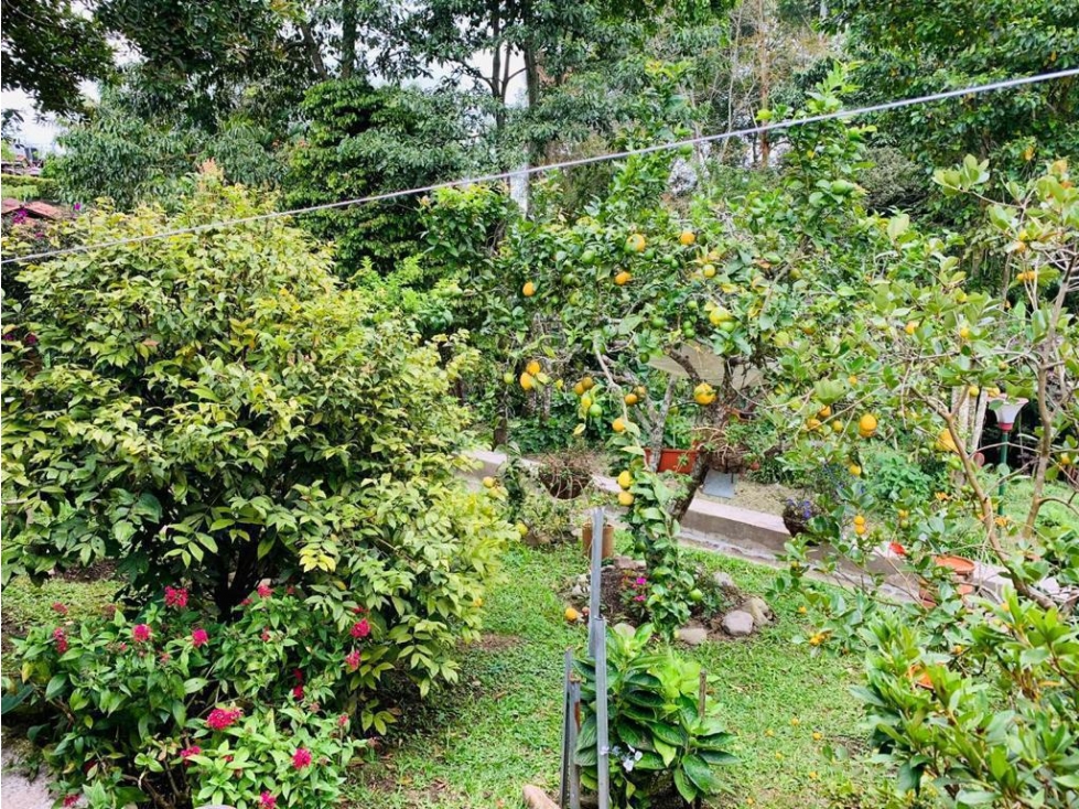 Se vende hermosa Casa Campestre en Circasia, Vía Armenia!!!! — foto 5