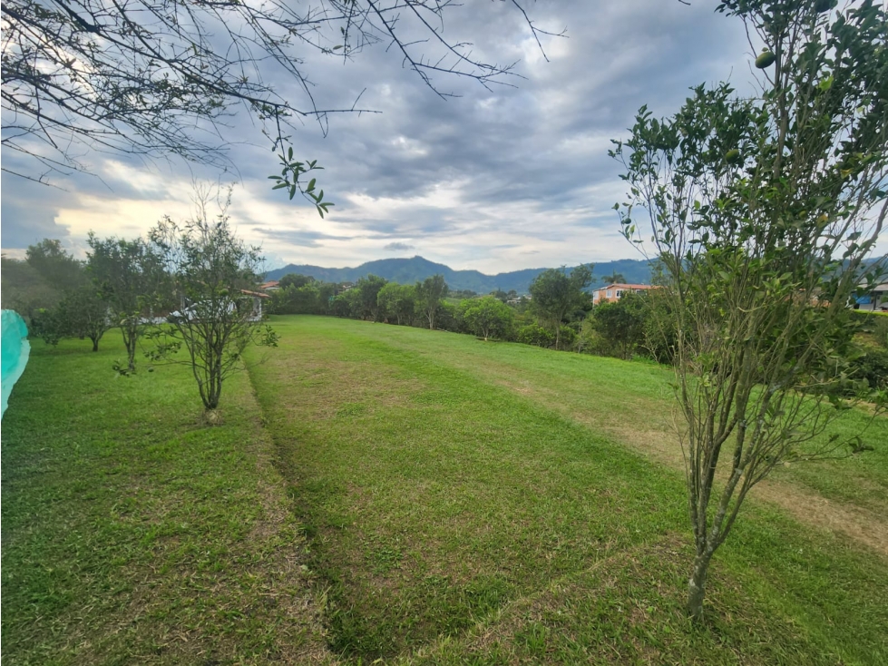 Vendo hermosa finca a 4 cuadras del Crucero de Combia