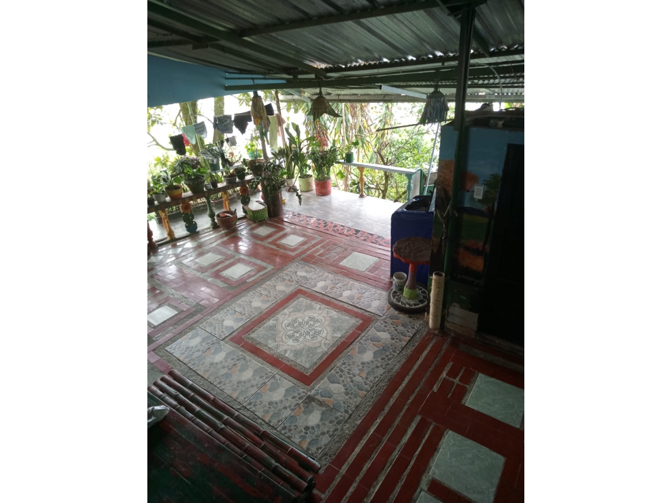 Se Vende Casa Lote Esquinera de 305 m2 en Belén de Umbría - 5