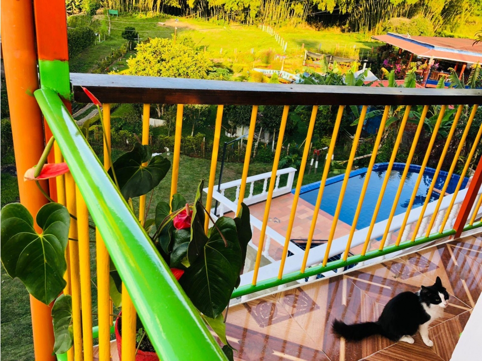 Vendo espectacular Finca Turistica via principal Altagracia — foto 5