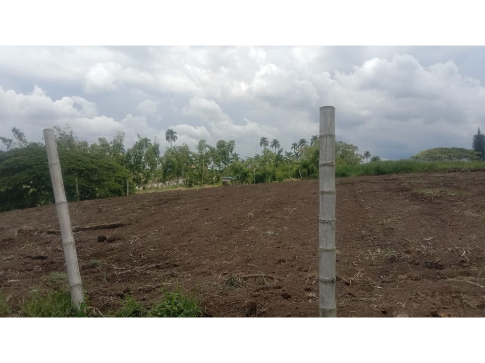 SE VENDE LOTE PALMILLA AREA DESDE 1500 M2 PARCELACION PUE ELECTRICA — foto 3