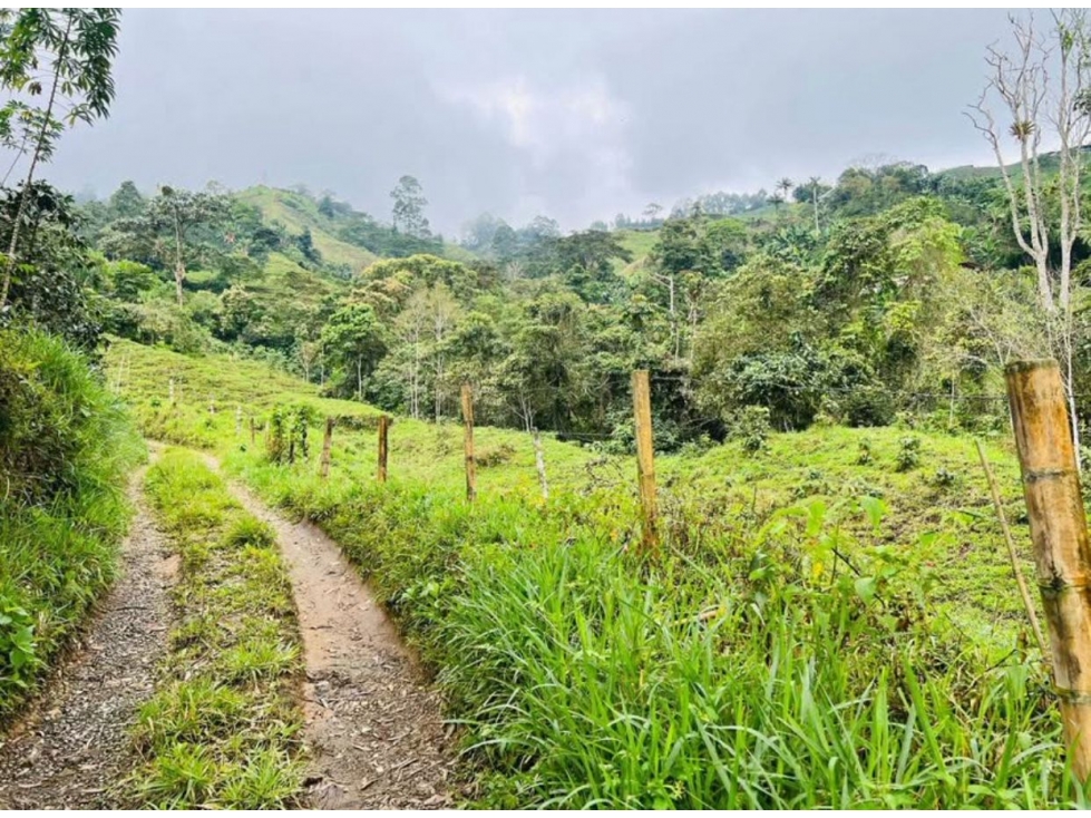 se vende finca con 2 casas campestres por santa rosa de cabal — foto 6