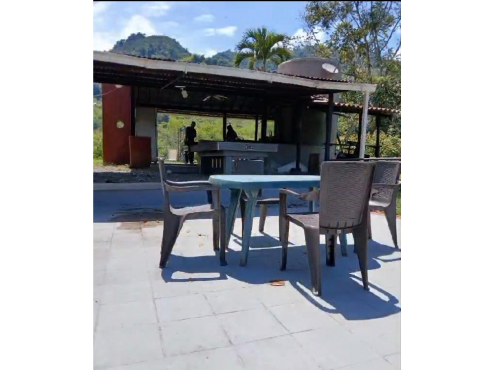 Hermosa Finca en Combia 9.000 m2! Productiva y turistica! — foto 6