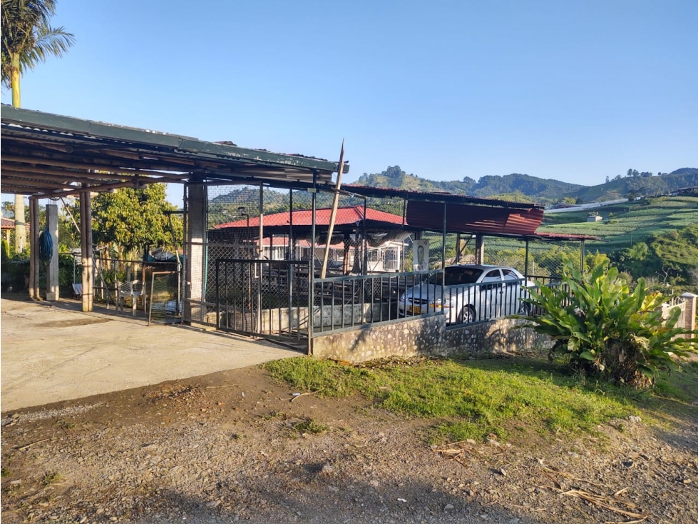 se vende Finca en el Corregimiento de la Florida