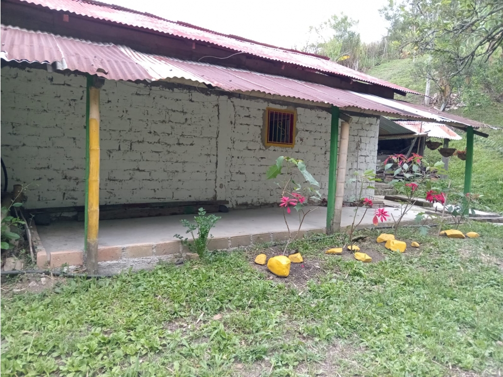 Venta de hermosa finca a 15 minutos de Guatica Y Belen - 4