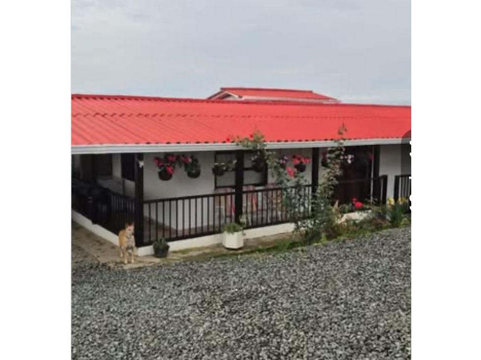 VENDE O PERMUTA CASA CAMPESTRE LA BELLA AREA 3500 M2 EXCELENTE VISTA