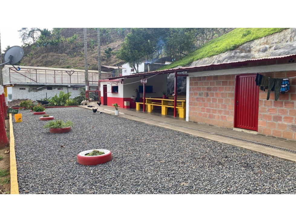 Se vende finca cafetera productiva en Combia — foto 3