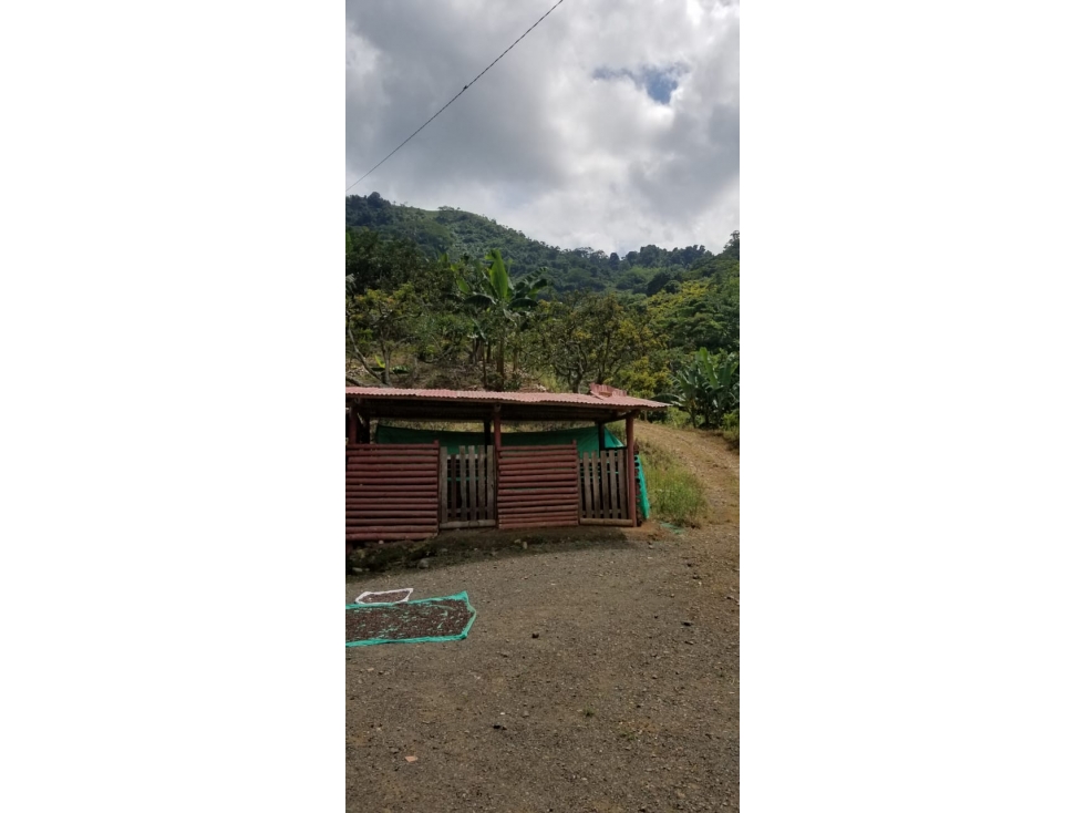 se vende Finca Productiva CERCA AL CRUCERO DE COMBIA — foto 4
