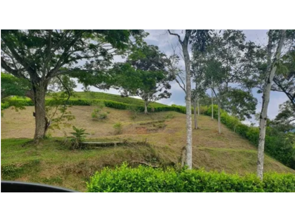 Vendo lote en condominio cerca a viterbo - 1