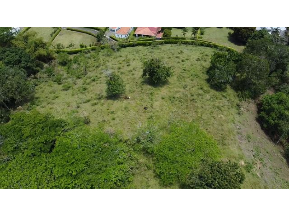 Se vende excelente lote para proyecto en cerritos