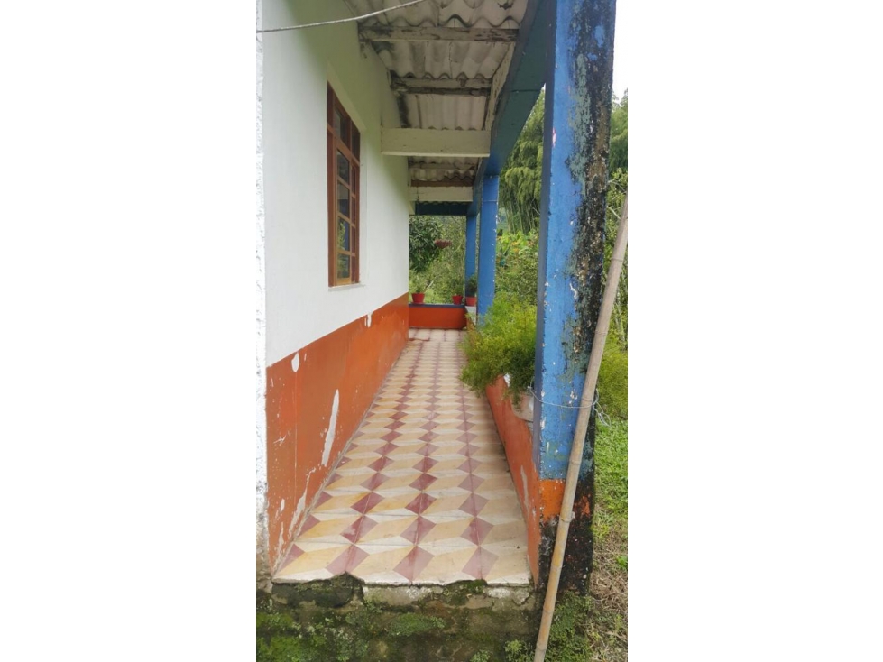 SE VENDE GRAN FINCA EXPORTADORA DE 44 CUADRAS SANTA ROSA — foto 2