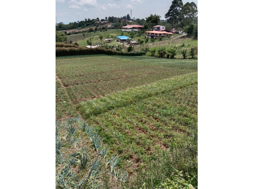 Se vende excelente Lote a 20 minutos de Pereira corregimiento La Bella