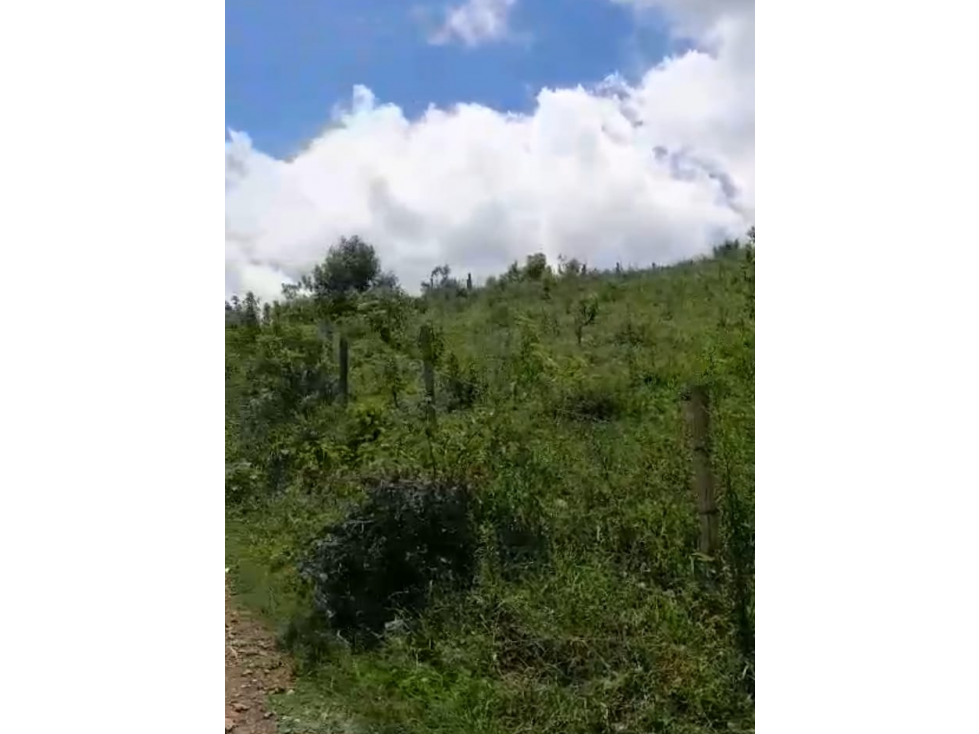 SE VENDE LOTE EN LA ESTRELLA CERCA A MORELIA EN PARCELACION — foto 6