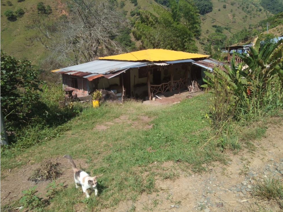Espectacular terreno para una futura finca turistica Anserma Caldas - 2