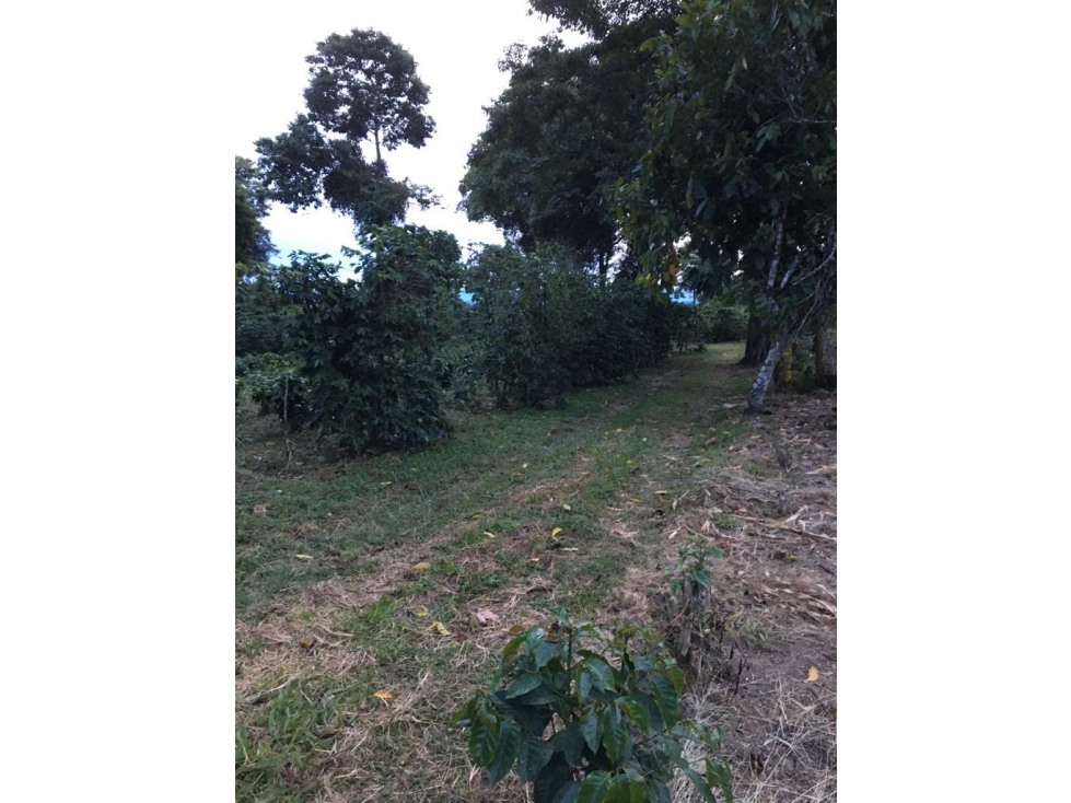 SE VENDE LOTE EN ARAVIA A 5 MINUTOS DE VIA PRINCIPAL