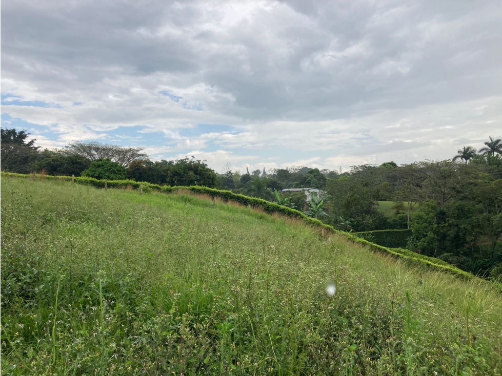SE VENDE LOTE vía CERRITOS LA VIRGINIA