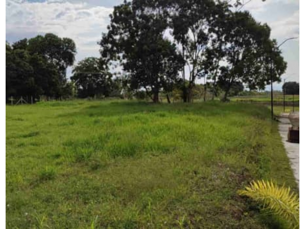 Se Vende Lote Totalmente Plano en Cerritos entrada El Tigre — foto 2