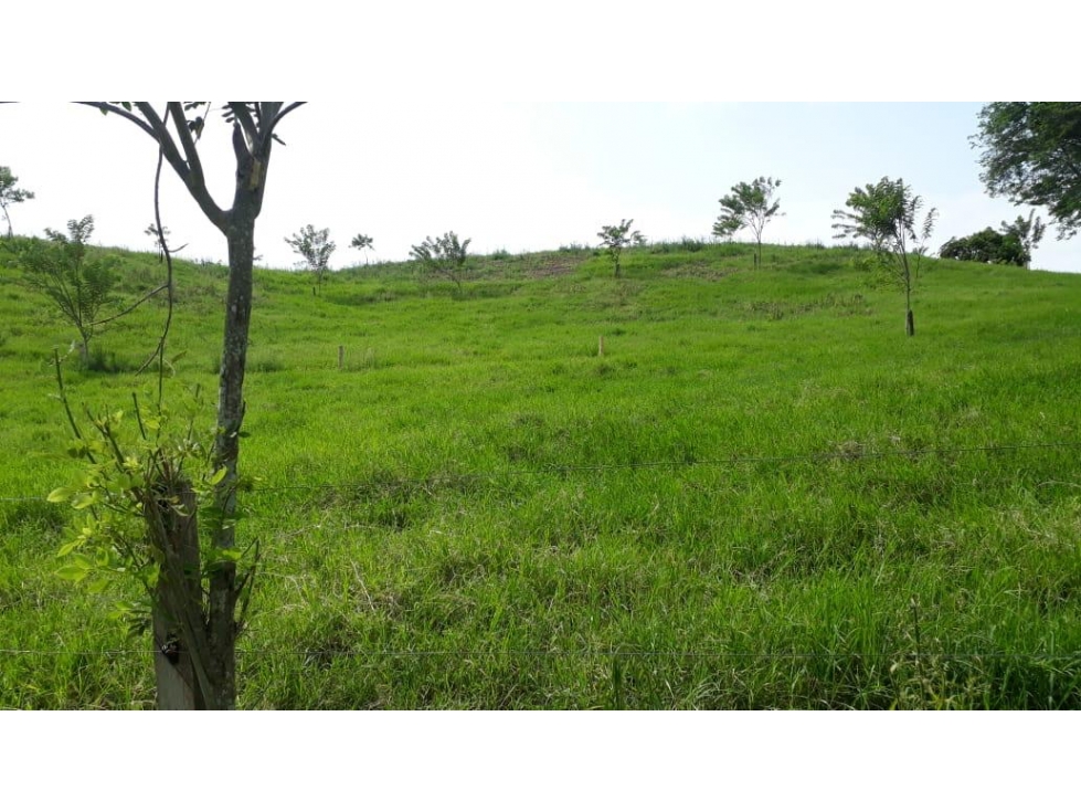 VENTA DE LOTES EN PARCELACION COMBIA