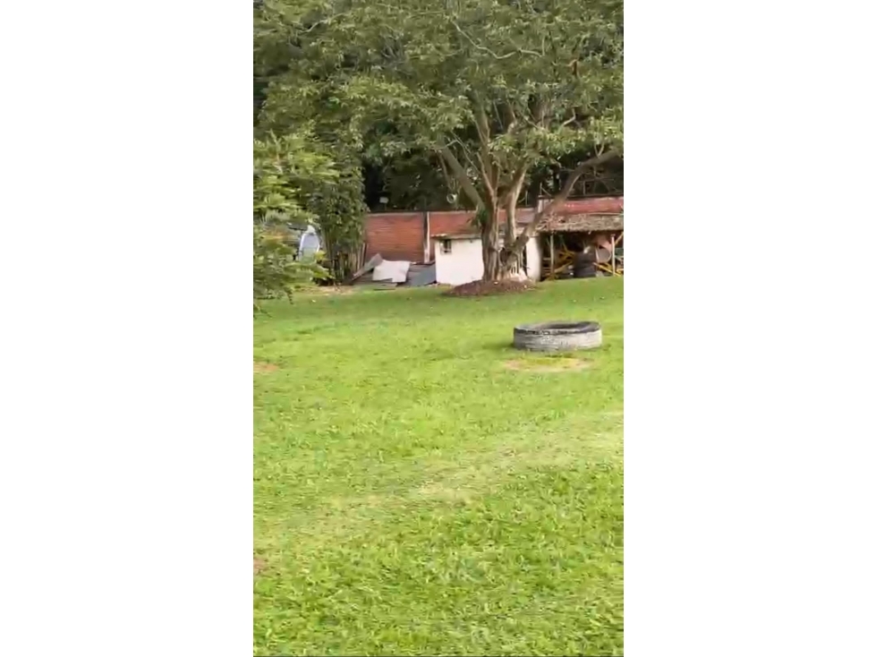 Hermoso lote 10.000 mts2. En Cerritos a 25 mts de la via principal — foto 2