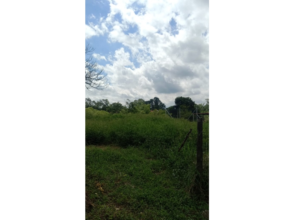 SE VENDE LOTE PALMILLA AREA DESDE 1500 M2 PARCELACION PUE ELECTRICA — foto 6