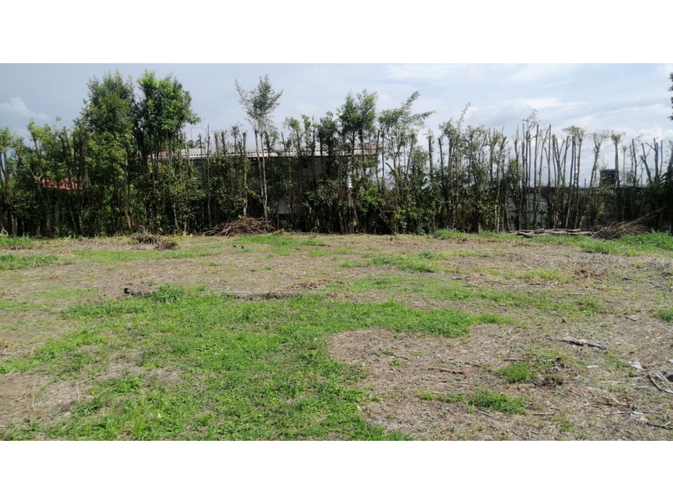 SE VENDE CASA CAMPESTRE VEREDA LA BAMBA — foto 5