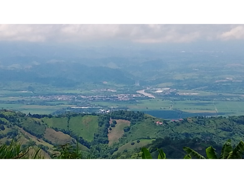 Venta de Finca Platanera y Cafetera en Balboa, Risaralda - 1