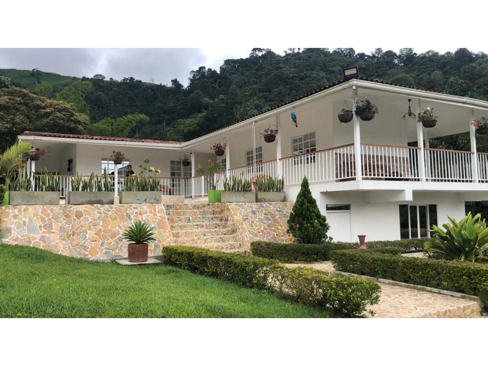 SE VENDE FINCA DE 25.000 METROS CUADRADOS A BORDE DE CARRETERA