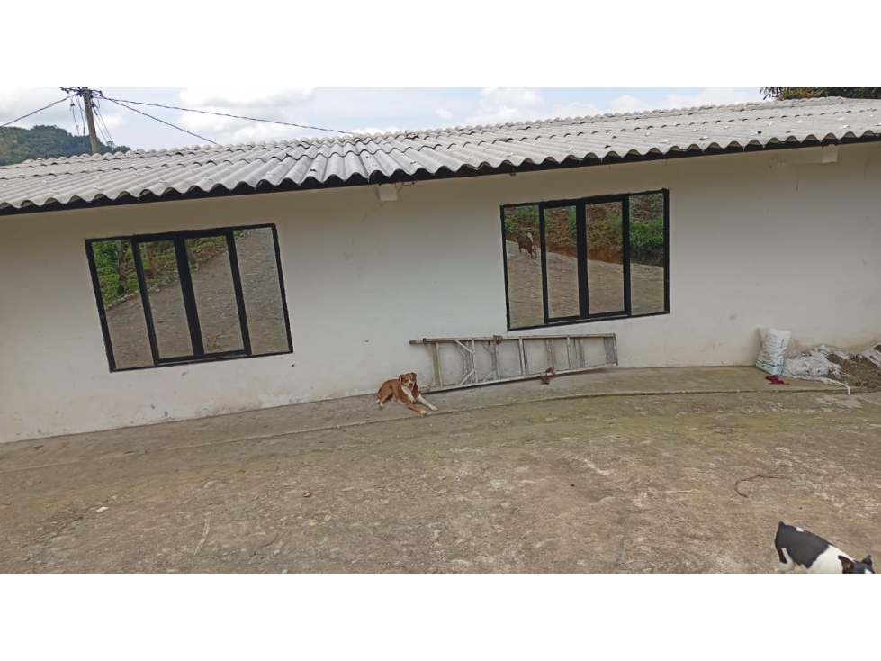 SE VENDE FINCA LA VEREDA CEDRALITO EN LA VIA PIMPOLLO