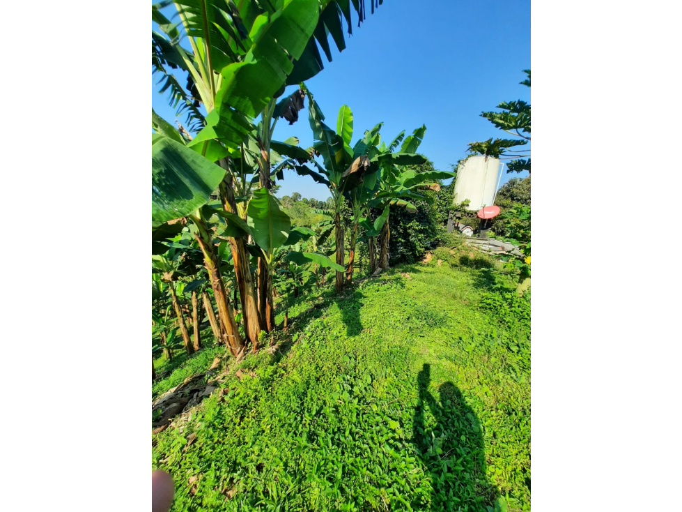 VENTA DE FINCA EN COMBIA