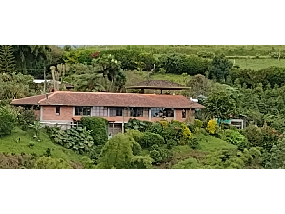  Se vende finca de cafÃ© organico en la zona cafetera de Risaralda